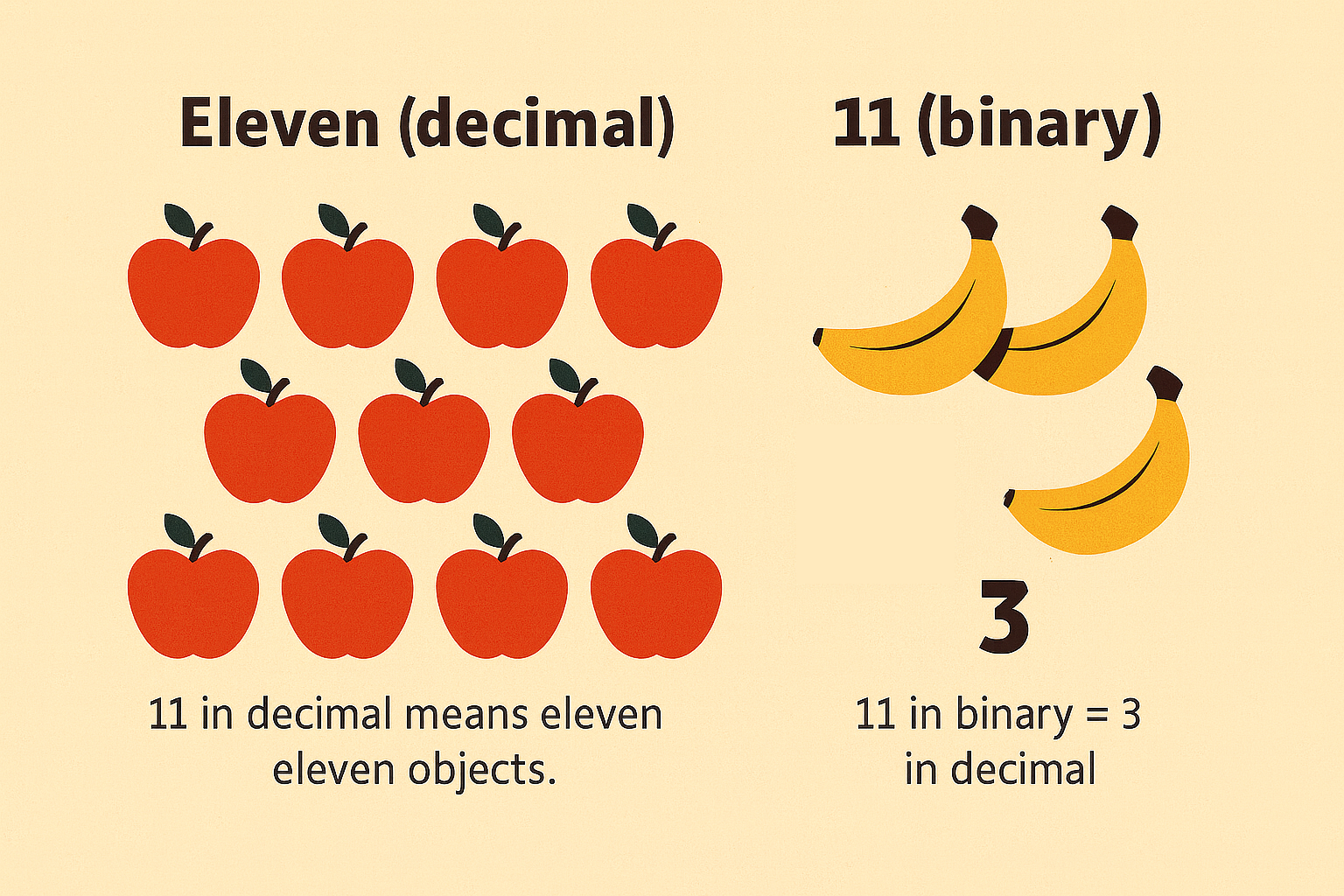 Eleven decimal vs 11 binary illustrated with objects